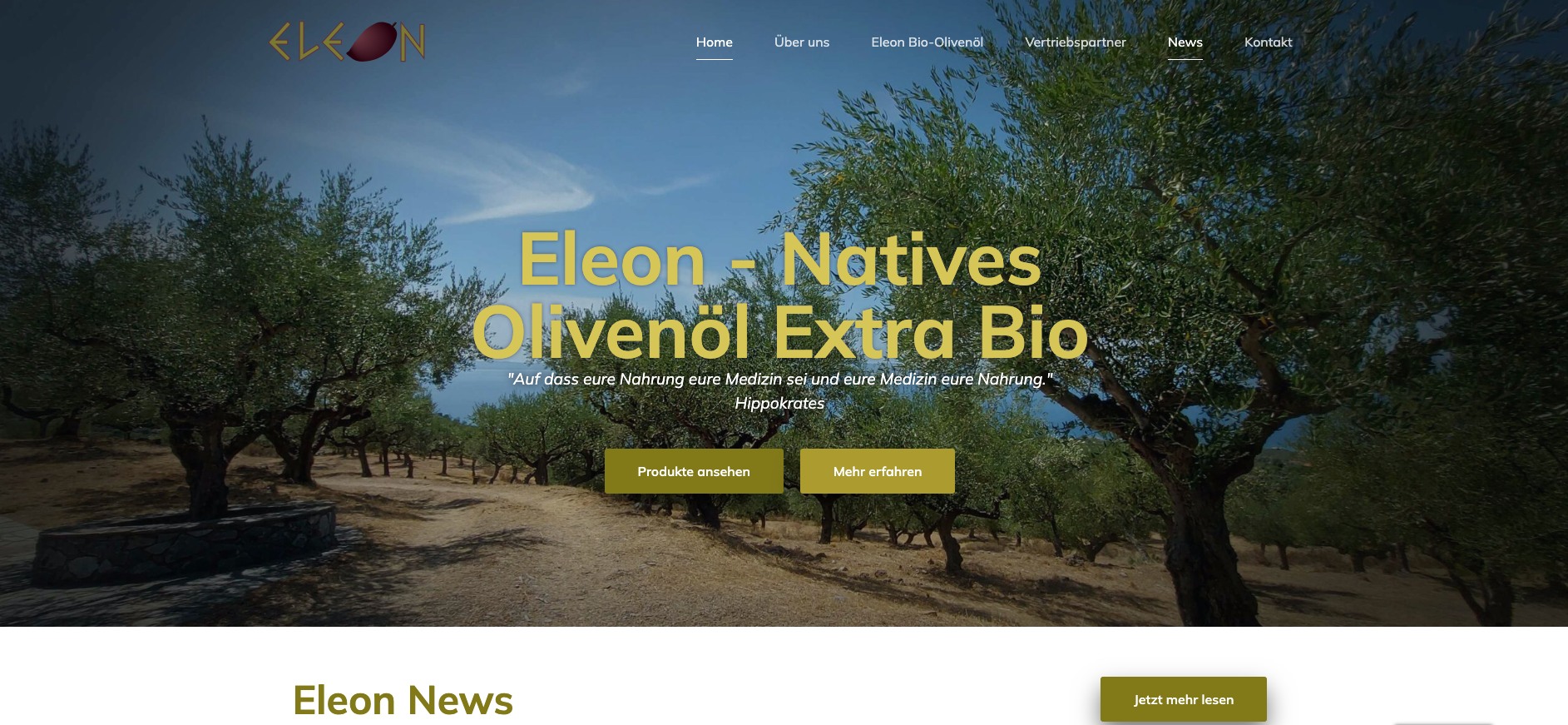 Screenshot Neue Eleon Dallas Website